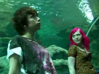 Red Tides