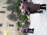 Barcelona dancing 2