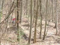 Dirt Serlin Trail