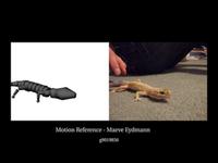 Leopard Gecko - Motion Reference