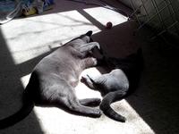 She likes to bite his feet