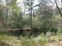 Caroline Dormon Nature Preserve