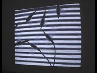 COMPOSITION FOR FILM-TEST 001