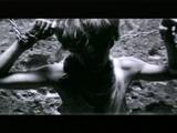 Ver Corto