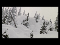 Red Bull Cold Rush REMIX