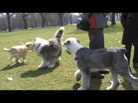 Bobtail meeting - 2009.03.22.