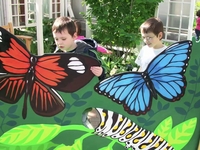 A Day At the Gardens