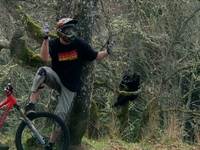 Straitline Bear Bell Technology