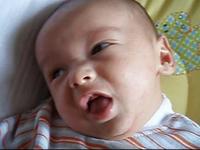 Adam Gurgling