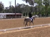 Zelly on Riverdance, ride 1