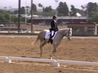 Zelly and Riverdance, 4th Test
