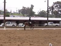 Deb Ridding Billy, Dressage