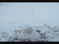 Snowmen fall from Heaven unassembled