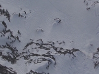 Snowboarder Géraldine Fasnacht's Freeride World Tour Winning Run - Nissan Xtreme- Verbier 2009