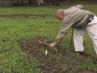 Dust to Dust: Green Burials
