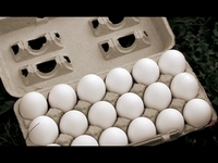 Hand Over Fist "Eggs" Promo