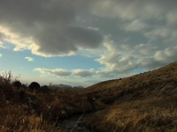 The Colorado River: Midges and Spring Spawners