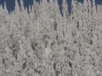 Cypress Mountain 2008 2009