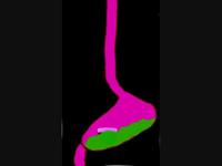 Through the Digestive system