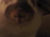 Bun