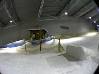 David Krieger shredin Boxes