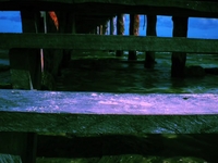 Walk Away