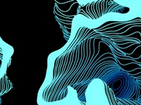 Fingerprints