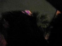 Monotonix - live at SXSW 09 - Part 3