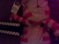 Evel Bagpuss Intro