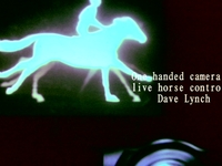 The Horse In motion
