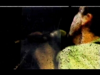 Promo_Superchunk (Hello Hawk)