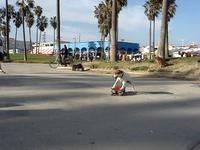 Venice Beach