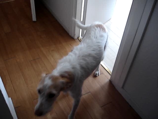 Thumbnail of video Maggie