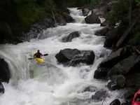 The Endangered Creeks Expedition