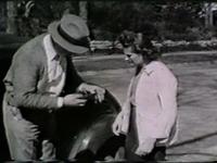 Dog Caper