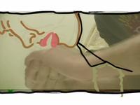 Rotoscoped Emotion Juxtaposition