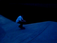 BS Flip