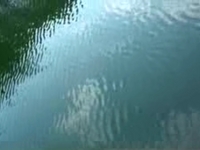 Twisted Water