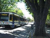 Light Rail and Street Traffic