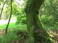 Camiño natural Río Souto da Vila , Catoira