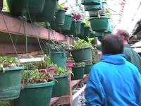 growing power community food center