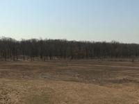 Edible Chicago visits Bill Kurtis for a prairie burn and to learn the importance of prairie restoration in Illinois