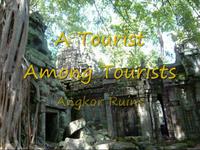 A Tourist Among Tourists