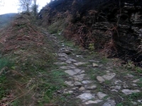 Breza I