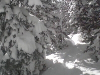 Vail Pass Helmet Camera- Untouched Powder