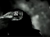 Jay