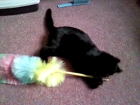 Charlie and the Duster