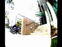Weekender Bro Bounce