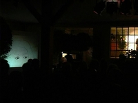 Illuminated Birds!