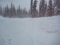 Vintage Beaver Creek